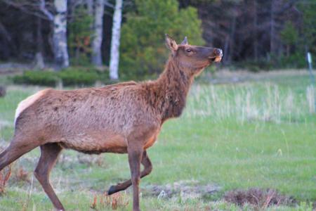 Click to view full size Enhanced Photography Services