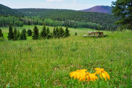 Click to view full size Enhanced Photography Services