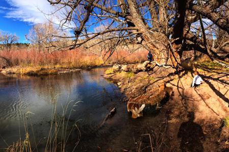 Click to view full size Enhanced Photography Services