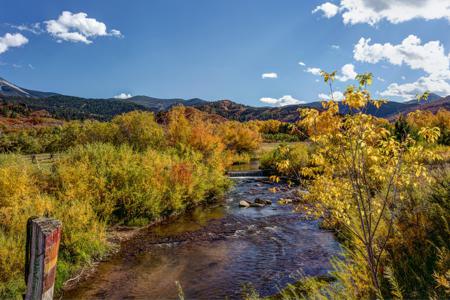 Click to view full size Enhanced Photography Services