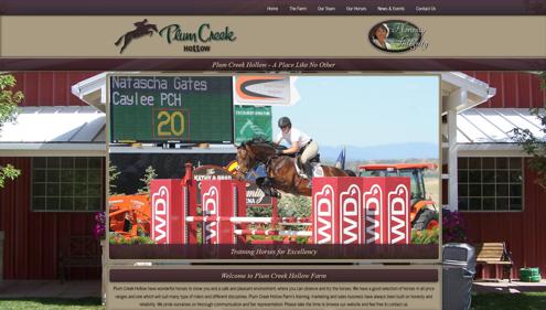 Customized Website for in Colorado