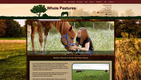 Customized Website for in Colorado